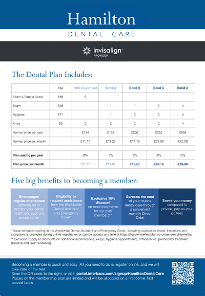 The Dental Plan Includes